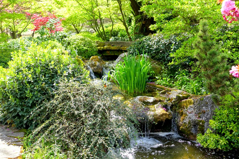 Waterfall - Japanese Garden - Orto botanico - Rome, Italy - DSC00201