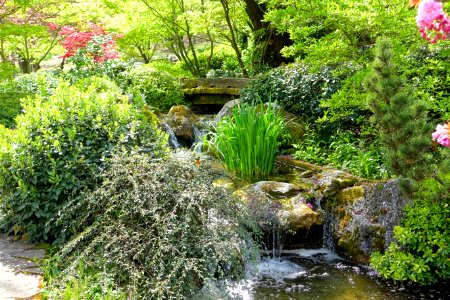 Waterfall - Japanese Garden - Orto botanico - Rome, Italy - DSC00201