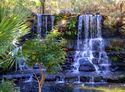 Waterfall - Hartman Prehistoric Garden - Zilker Botanical Garden - Austin, Texas - DSC08905