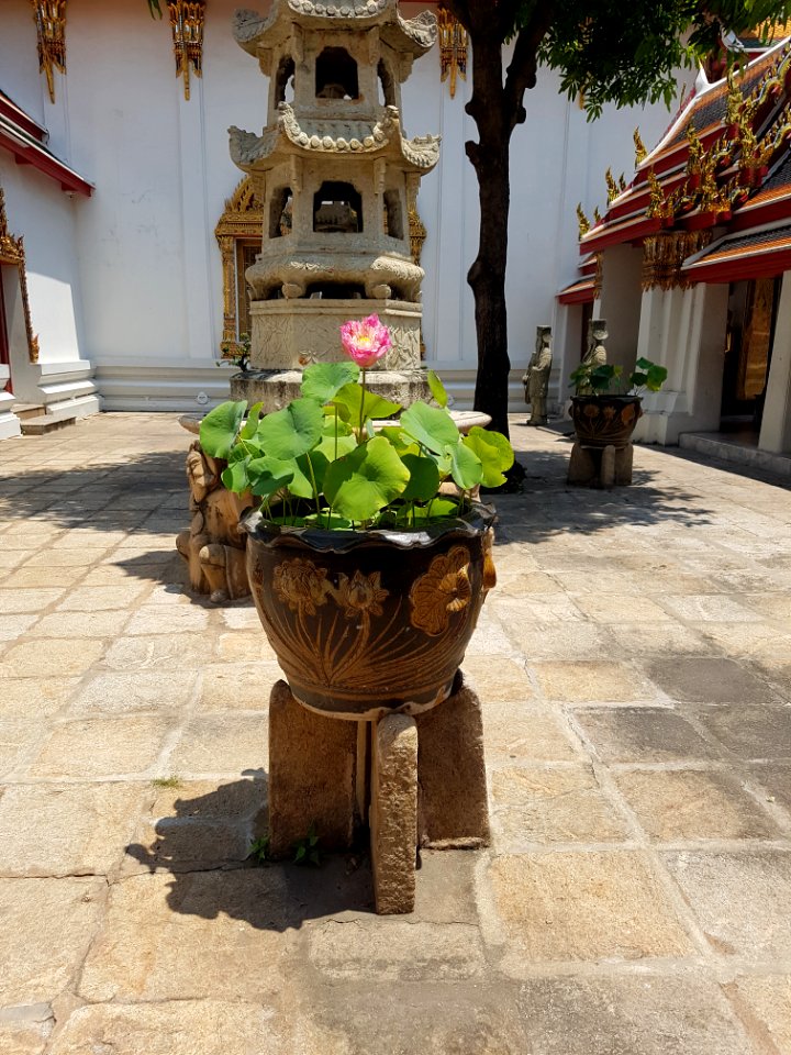 Wat Pho - 2017-04-22 (064)