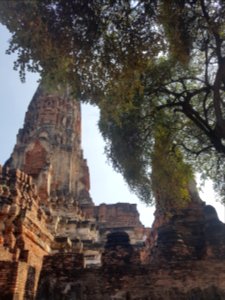 Wat Phra Ram - 2017-02-13 (028)
