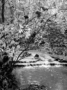 Waterfall, Kane Woods, 2020-10-30, 08