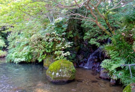 Waterfall - Fujiya Hotel - Hakone, Japan - DSC06126