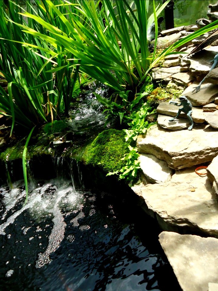 Waterfall and garden