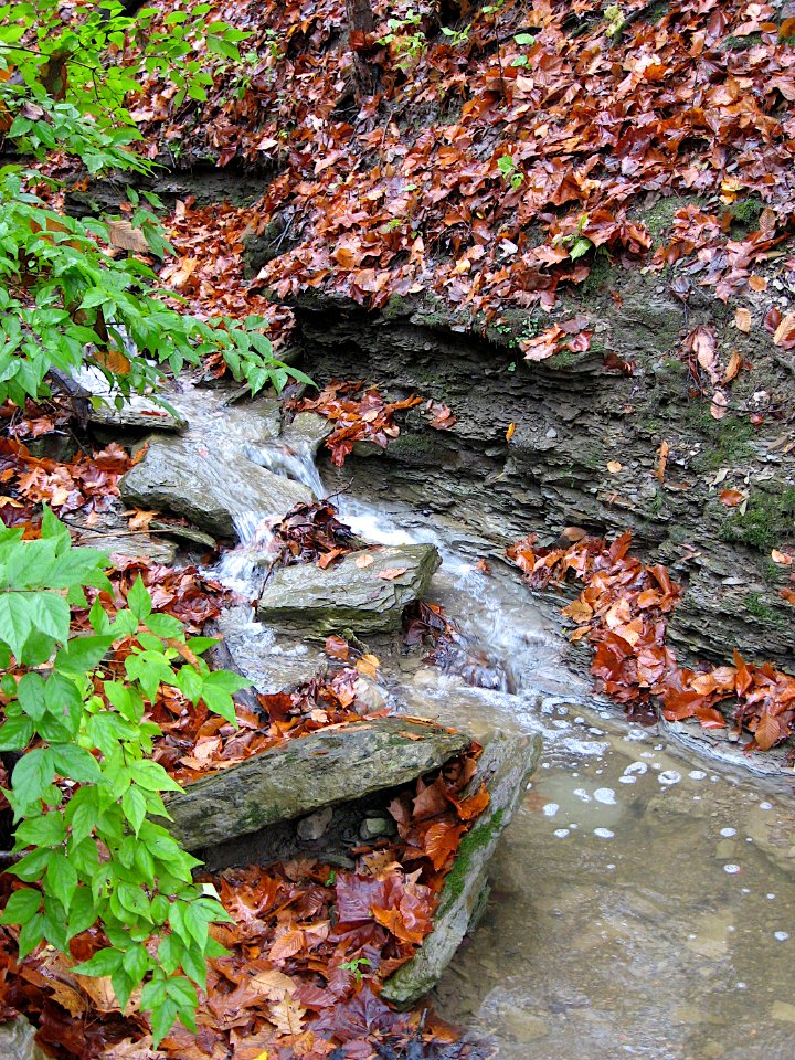 Waterfall, Kane Woods, 2020-10-30, 06