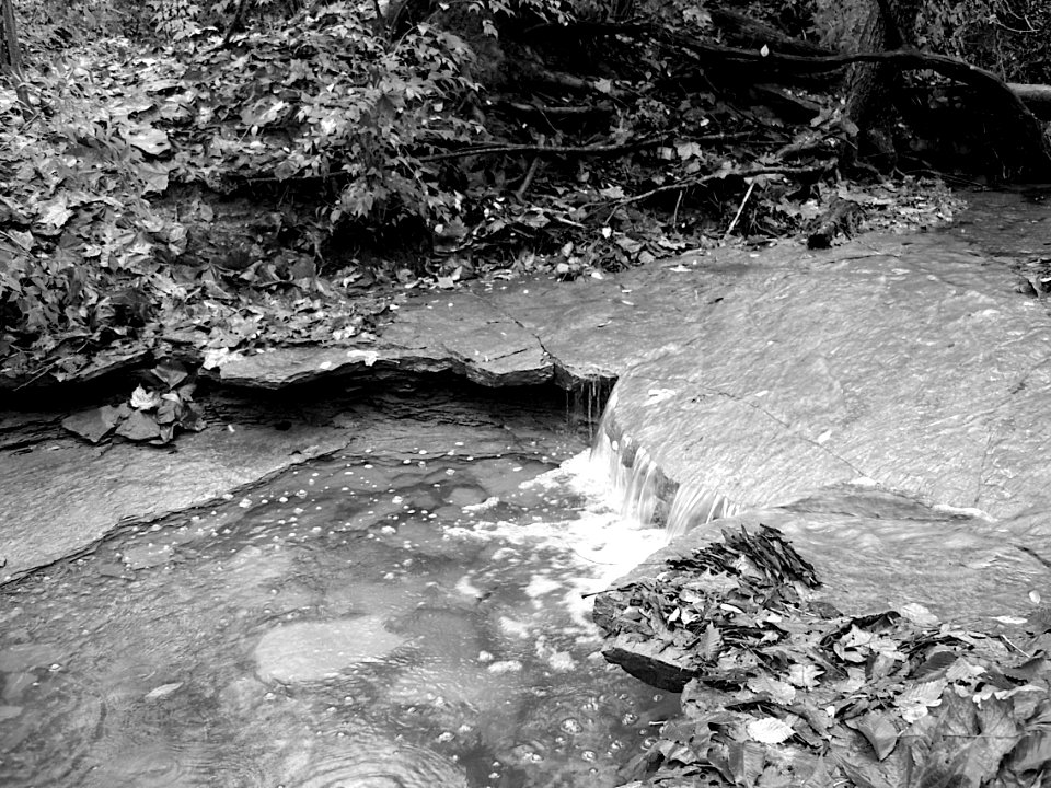 Waterfall, Kane Woods, 2020-10-30, 09
