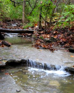 Waterfall, Kane Woods, 2020-10-30, 05