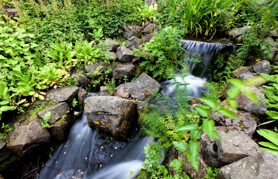 Waterfall, Royal Botanic Garden Edinburgh, Scotland, GB, IMG 3800 edit