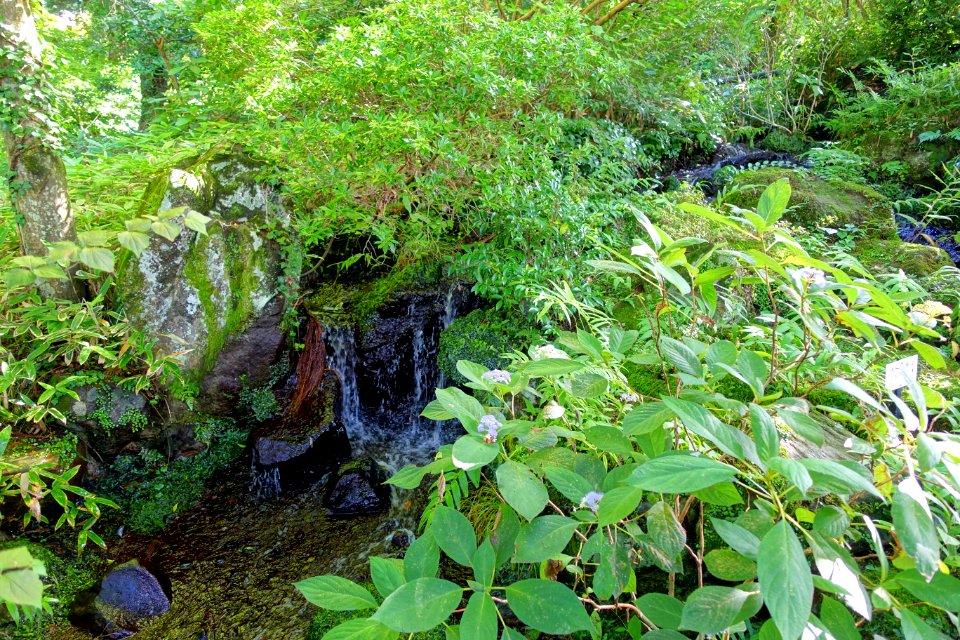 Waterfall - Fujiya Hotel - Hakone, Japan - DSC06182