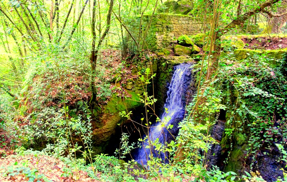 Waterfall - Parco dei Mostri - Bomarzo, Italy - DSC02444