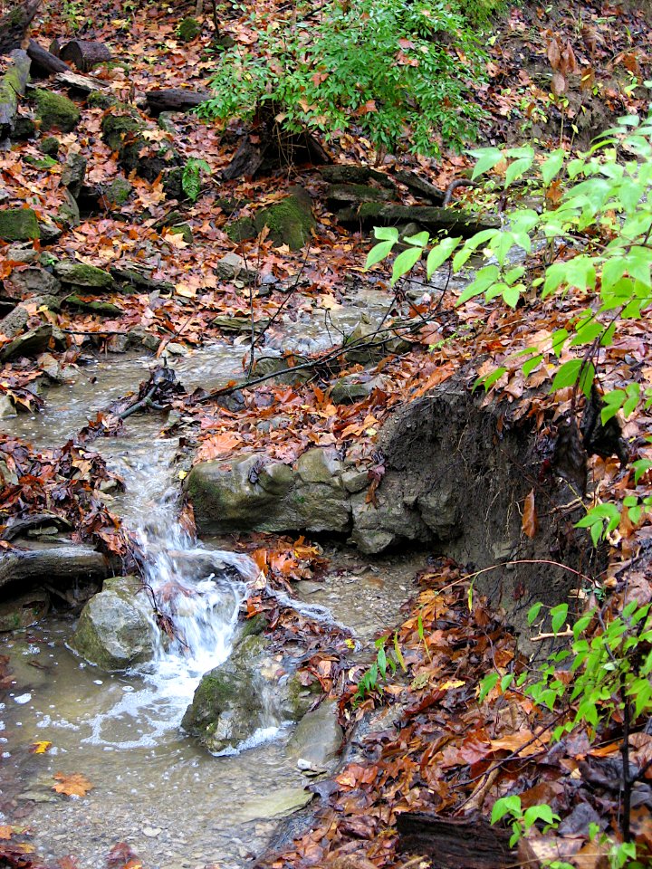 Waterfall, Kane Woods, 2020-10-30, 07