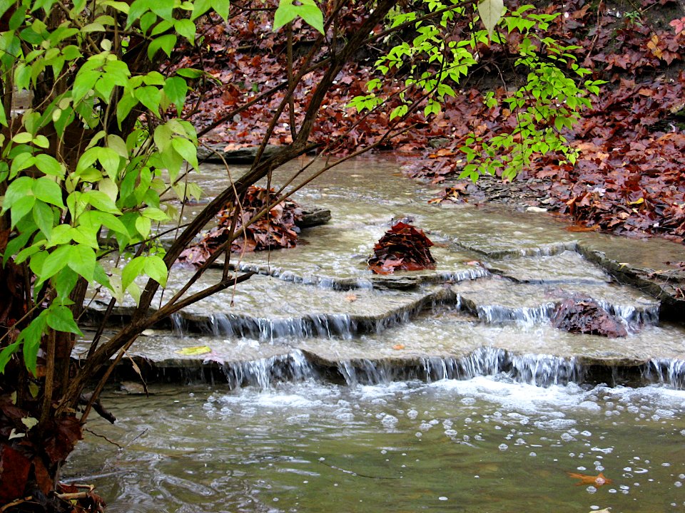 Waterfall, Kane Woods, 2020-10-30, 01
