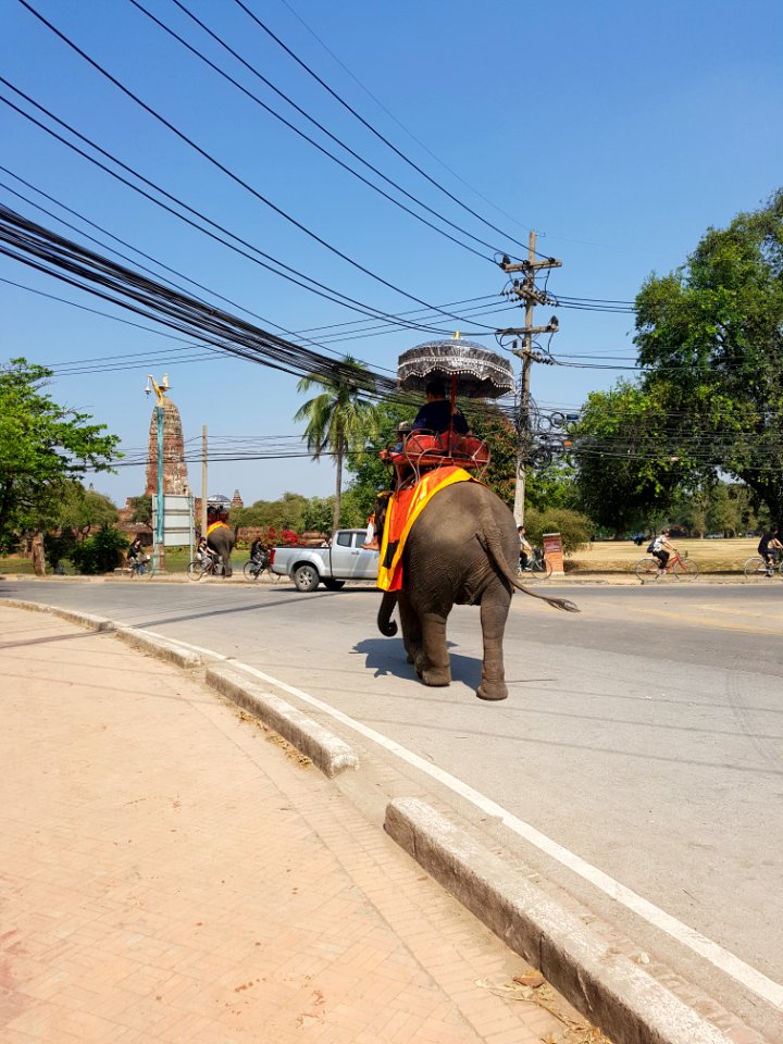 Wat Phra Ram - 2017-02-13 (001)
