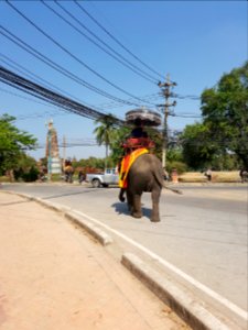 Wat Phra Ram - 2017-02-13 (001)