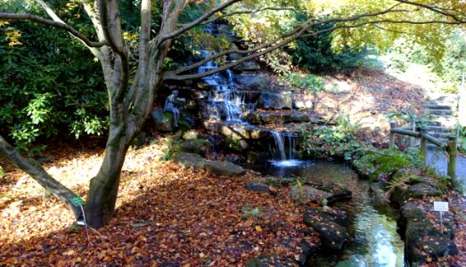 Waterfall - Botanischer Garten Braunschweig - Braunschweig, Germany - DSC04354