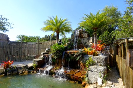 Waterfall - Everglades Alligator Farm - Florida City, Florida - DSC09255