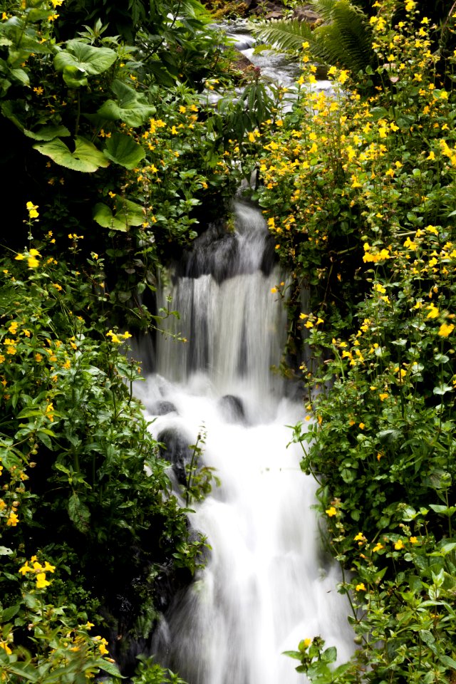 Waterfall, Royal Botanic Garden Edinburgh, Scotland, GB, IMG 3833 edit