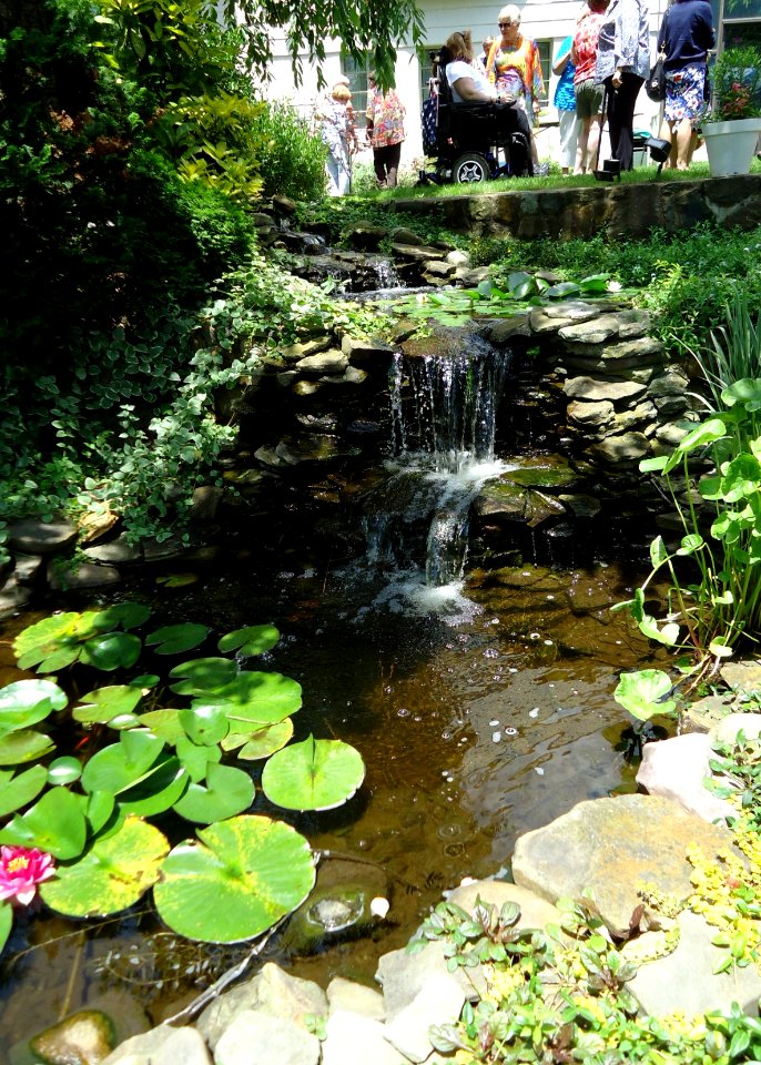 Waterfall and pond at a garden party