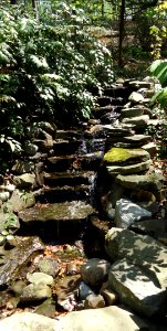 Waterfall garden at arborteum in Short Hills NJ