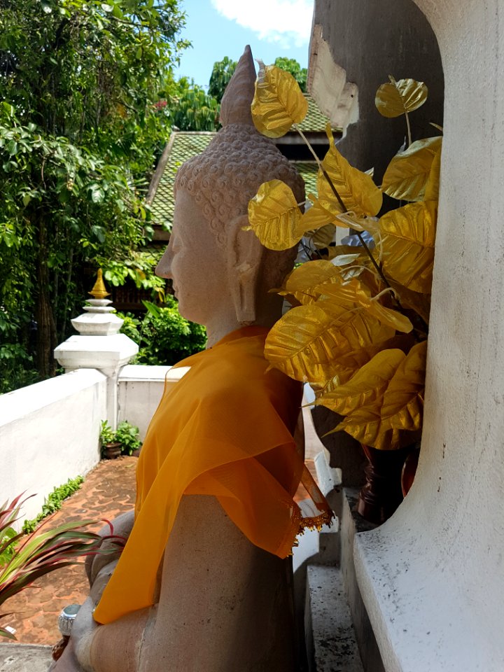 Wat Ming Mueang, Chiang Rai - 2017-06-27 (047)