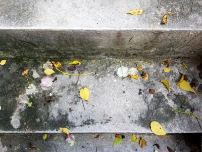 Wat Ming Mueang, Chiang Rai - 2017-06-27 (049)