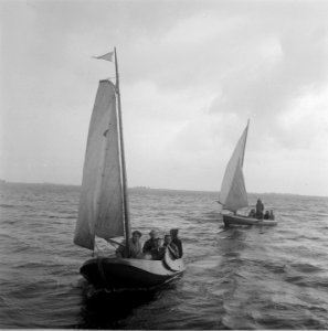 Waterkamp Heeg, Bestanddeelnr 902-8451