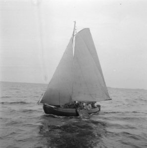 Waterkamp Heeg, Bestanddeelnr 902-8459