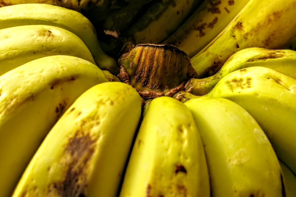 Yellowish tropical fruit