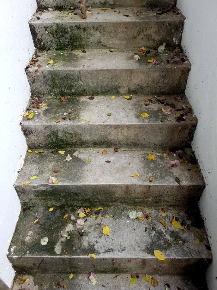 Wat Ming Mueang, Chiang Rai - 2017-06-27 (050)