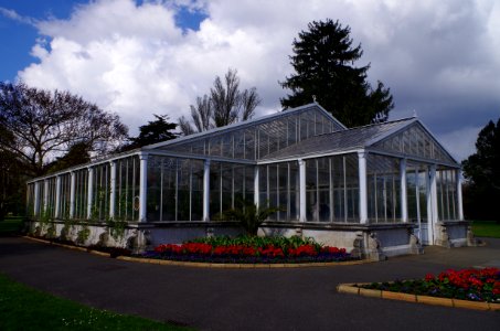 Waterlily House - Kew Gardens