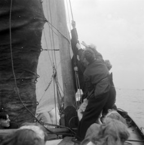 Waterkamp Heeg, Bestanddeelnr 902-8456