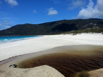 Waterloo Bay, Wilsons Promontory National Park 06