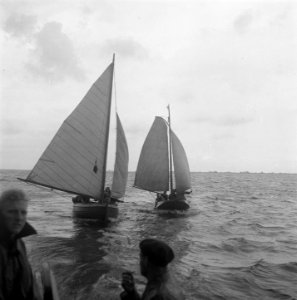 Waterkamp Heeg, Bestanddeelnr 902-8452