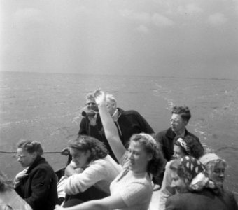 Waterkamp Heeg, Bestanddeelnr 902-8449