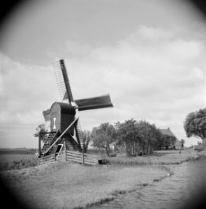 Watermolen, type spinnenkop, Bestanddeelnr 191-0690