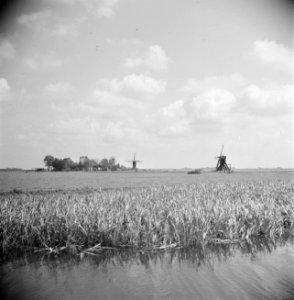 Watermolen, type spinnenkop, Bestanddeelnr 191-0691