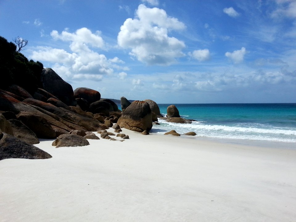 Waterloo Bay, Wilsons Promontory National Park 10