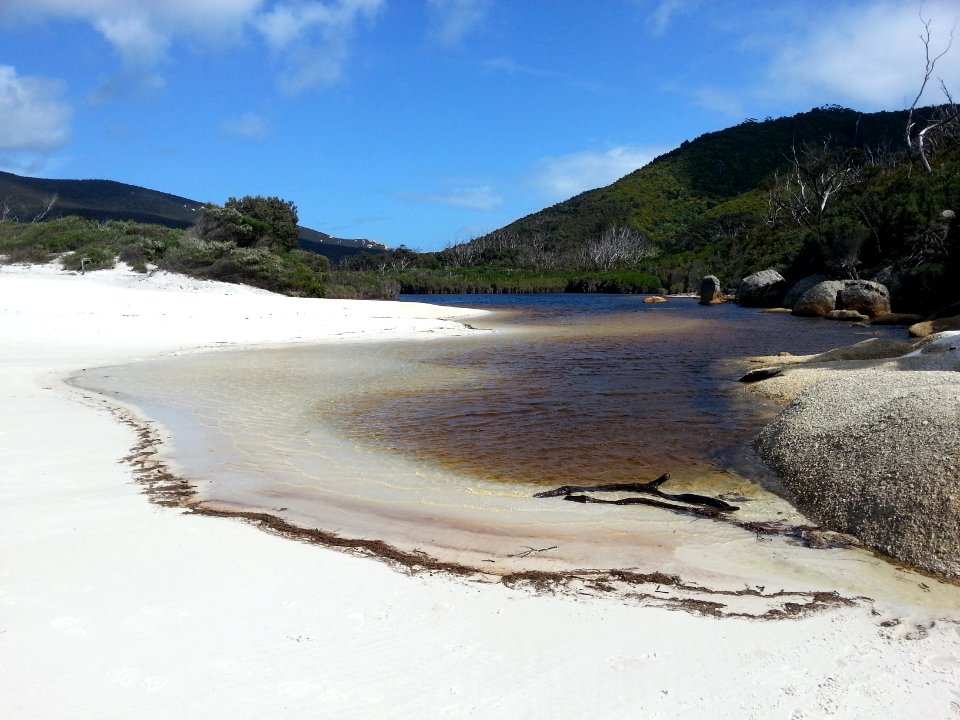 Waterloo Bay, Wilsons Promontory National Park 12