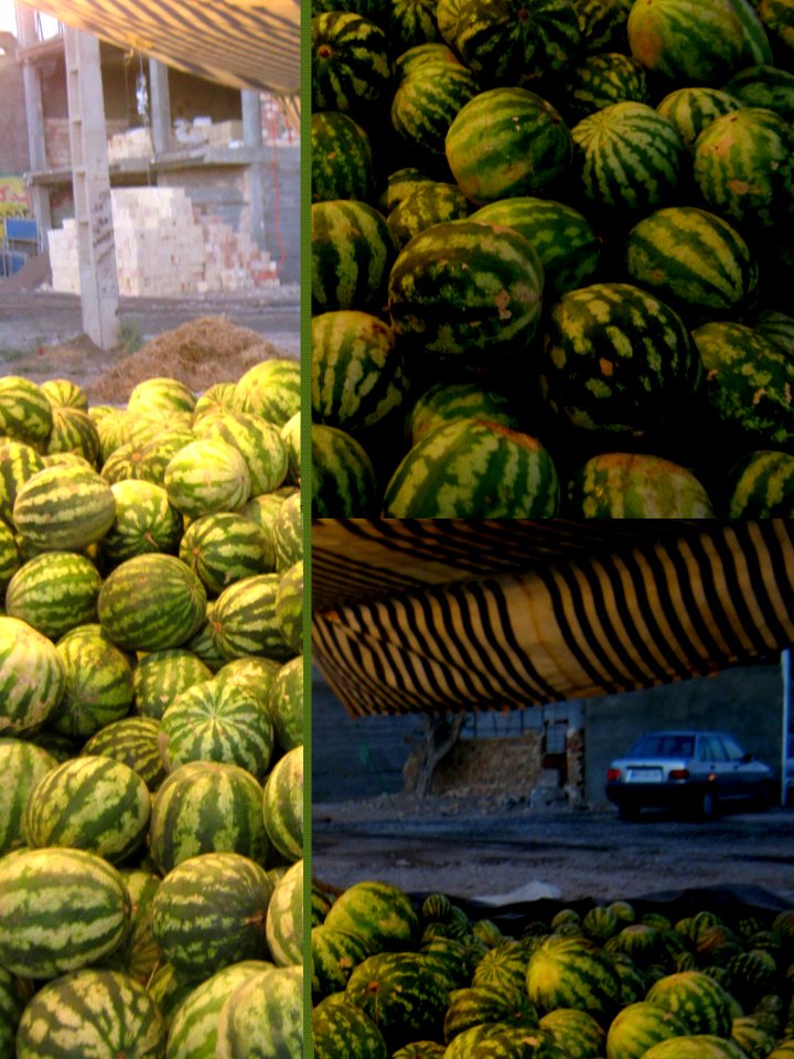 Watermelon - Fruit Bazaar - near Besat sq - Nishapur 07