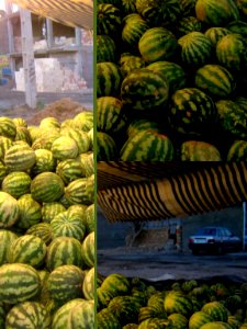 Watermelon - Fruit Bazaar - near Besat sq - Nishapur 07