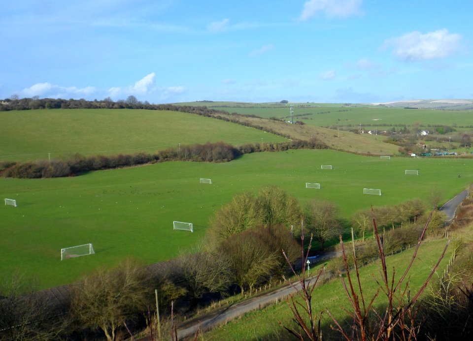 Waterhall Playing Fields, Brighton (February 2014) (4)