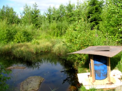 Water bird feeding unit
