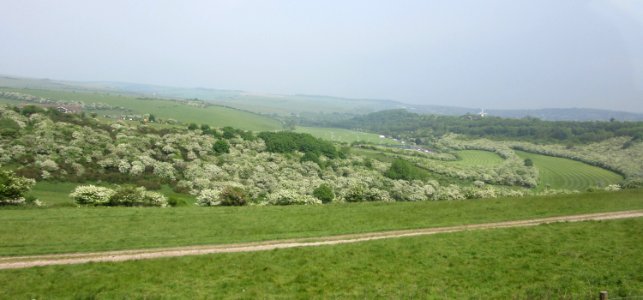 Waterhall from Devil's Dyke Road, Brighton (May 2016) (1)