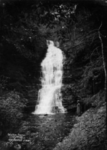 Water-break-its-neck New Radnor (1294858)