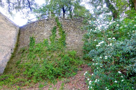 Wall - Bosco - Villa Lante, Bagnaia, Italy - DSC01971