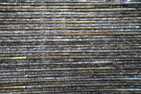 Texture bamboo web