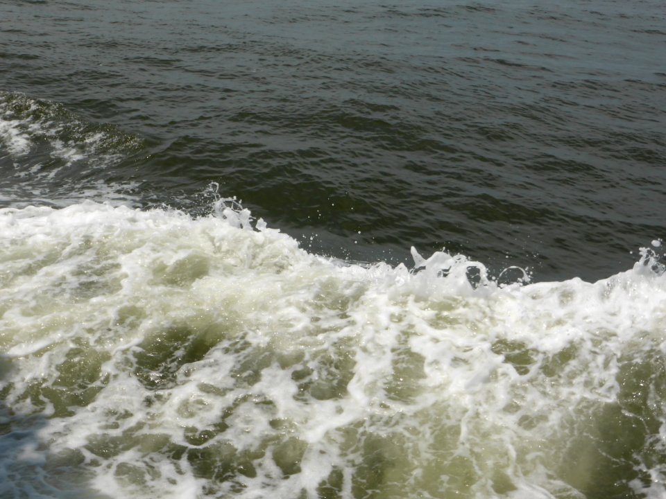 Water-5