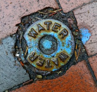 WATER WATER - water valve cover - Cambridge, MA - DSC07866