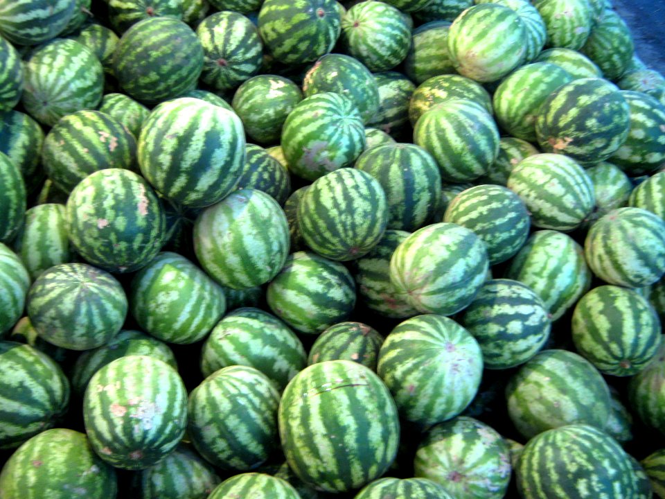 Watermelon - Fruit Bazaar - near Besat sq - Nishapur 01