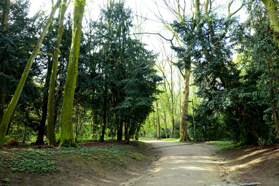 Walkway in the Bois de la Cambre or Ter Kamerenbos - Brussels, Belgium - DSC06587